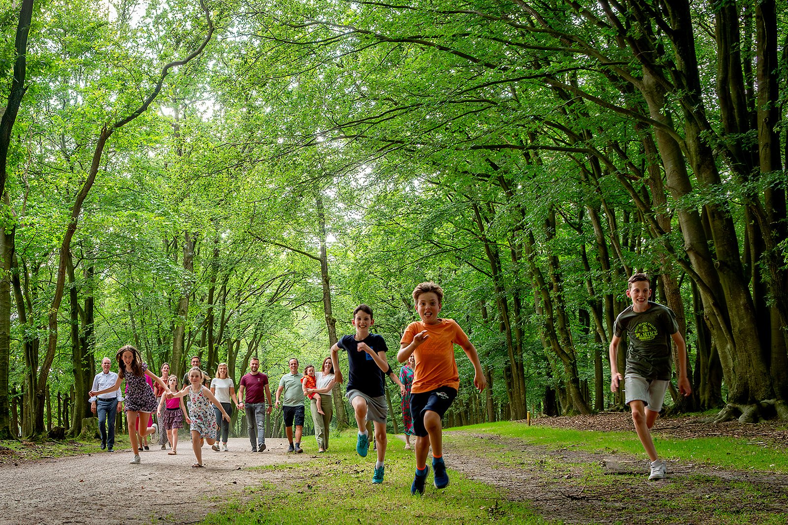 Op de Tafelbergse Heide